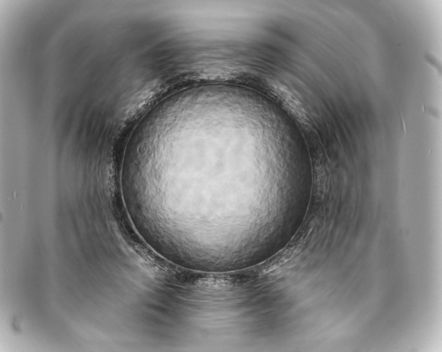 X0000095520354200712281505