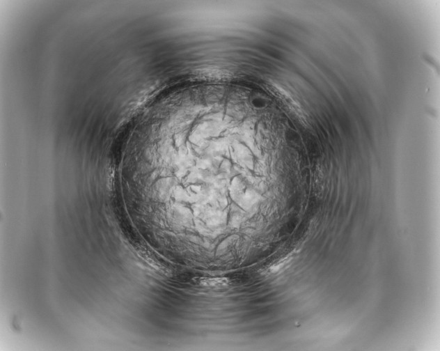 X0000095520355200712281505