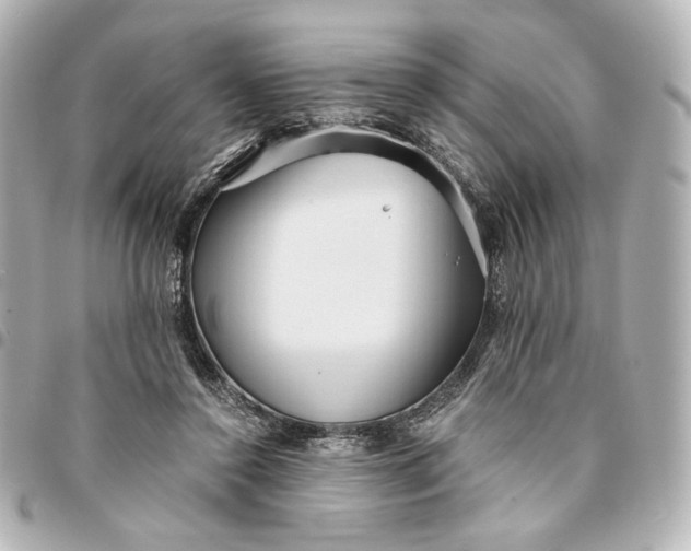 X0000095520356200712281505