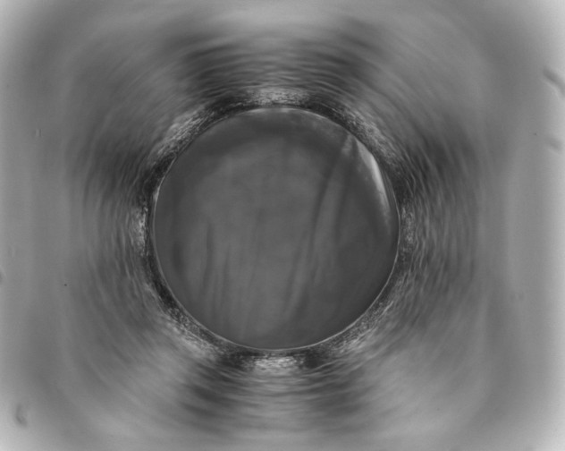 X0000095520357200712281505