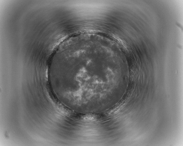 X0000095520358200712281505