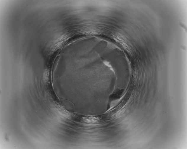 X0000095520359200712281505