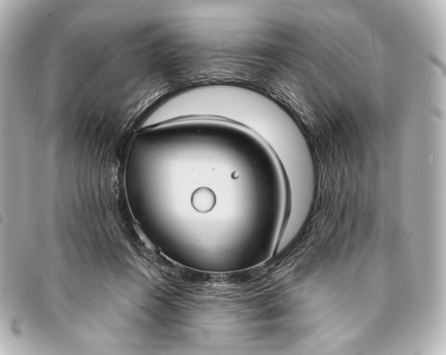 X0000095520360200712281505