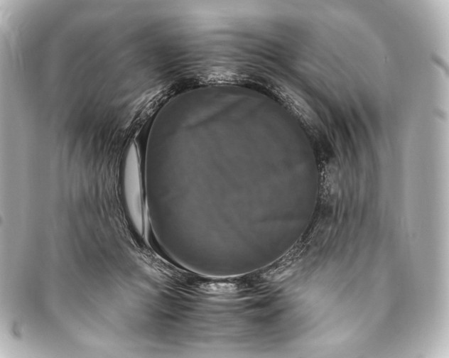 X0000095520361200712281505