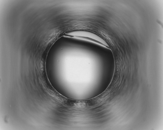 X0000095520362200712281505