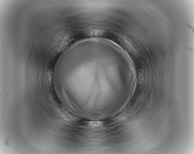 X0000095520363200712281505