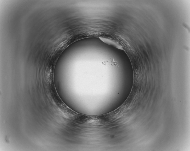 X0000095520364200712281505