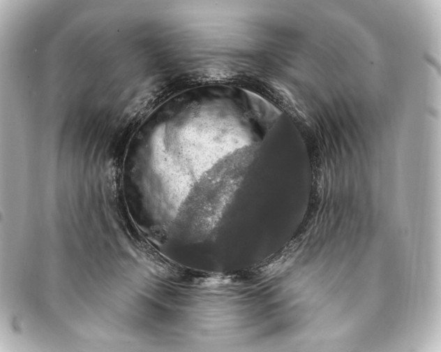 X0000095520366200712281505