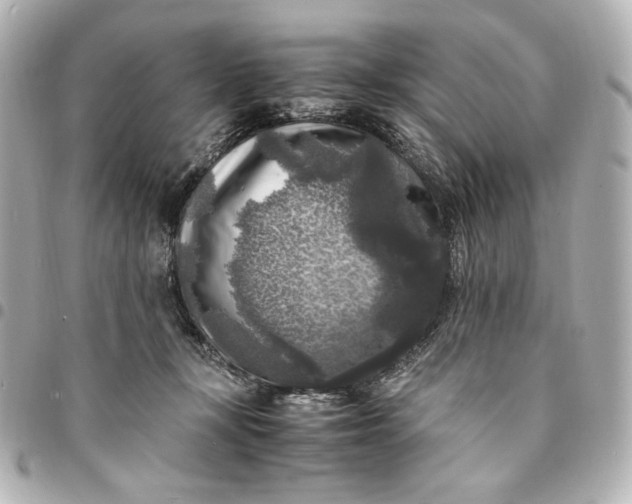 X0000095520367200712281505