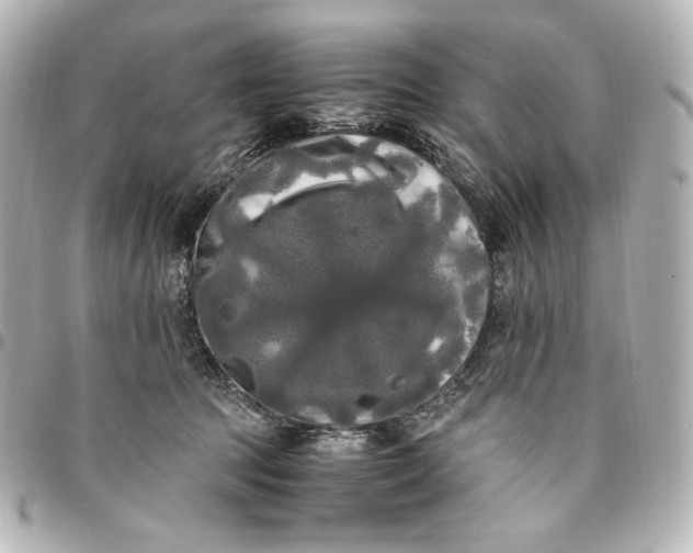 X0000095520369200712281505