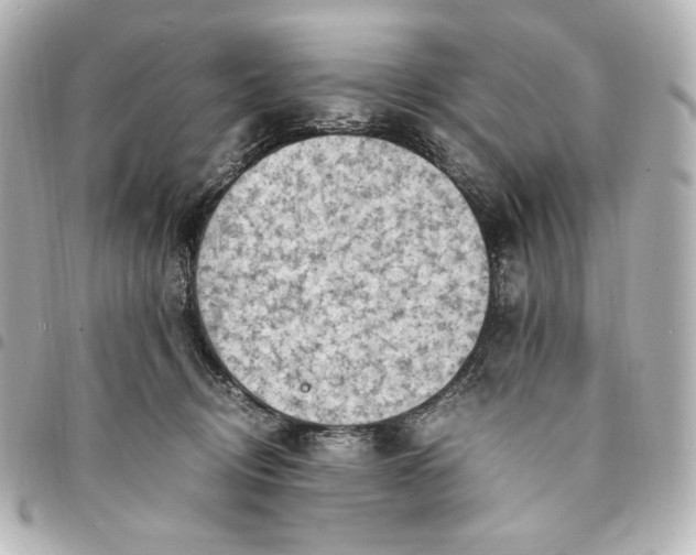 X0000095520370200712281505