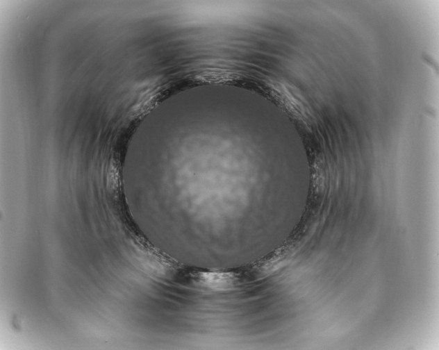 X0000095520371200712281505