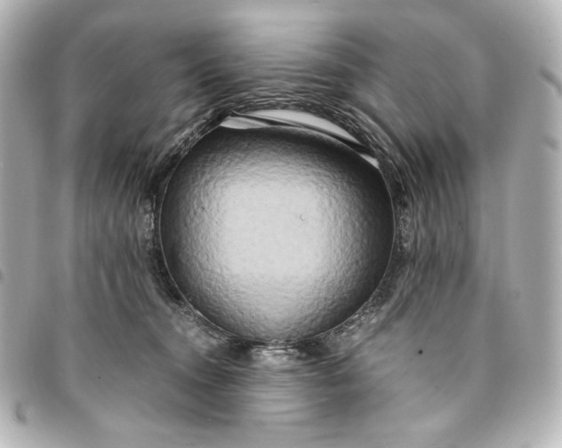 X0000095520372200712281505