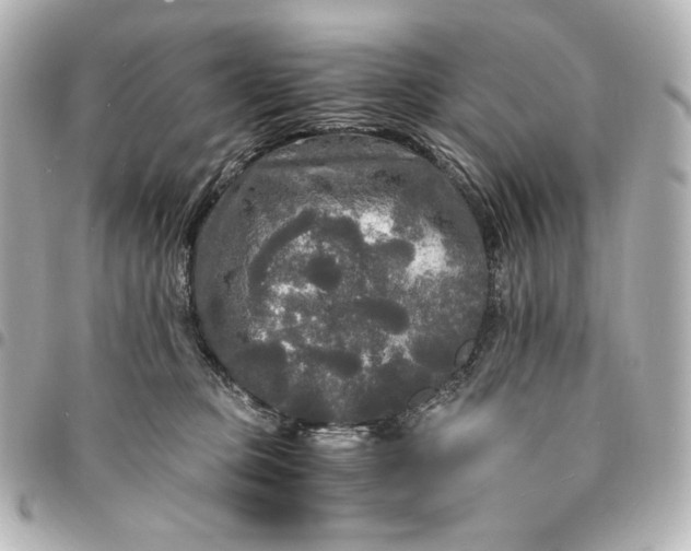 X0000095520373200712281505