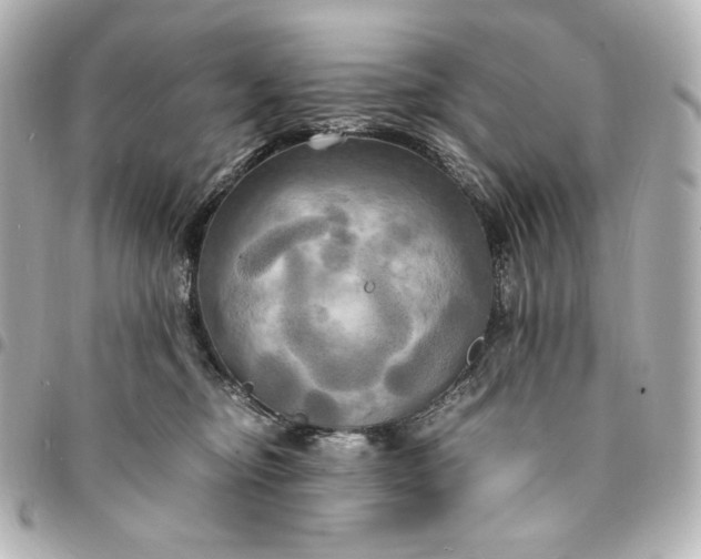 X0000095520374200712281505