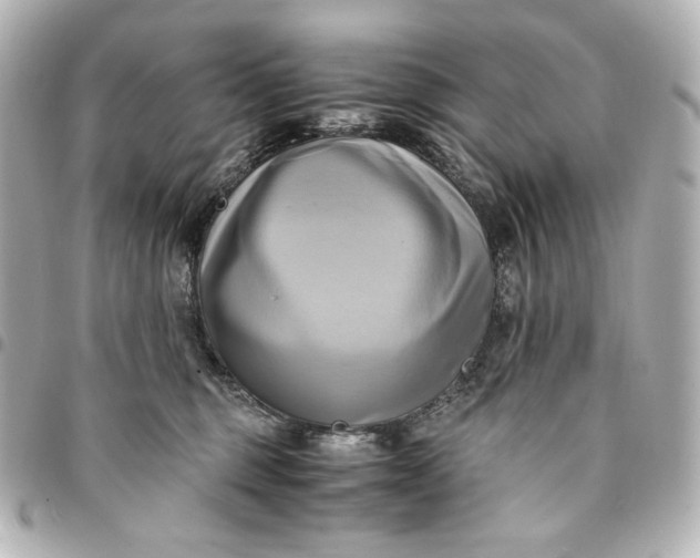 X0000095520375200712281505