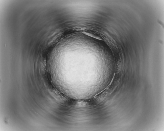 X0000095520376200712281505