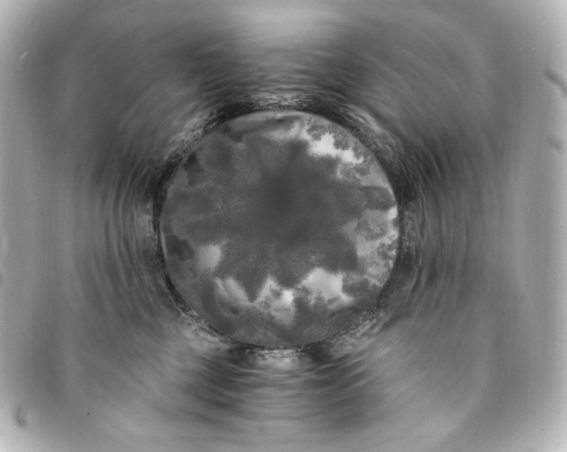 X0000095520377200712281505