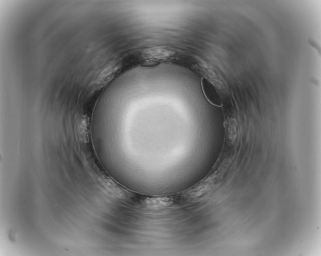 X0000095520378200712281505