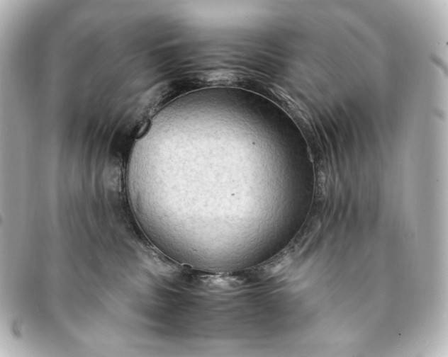 X0000095520379200712281505