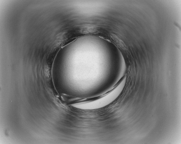 X0000095520380200712281505