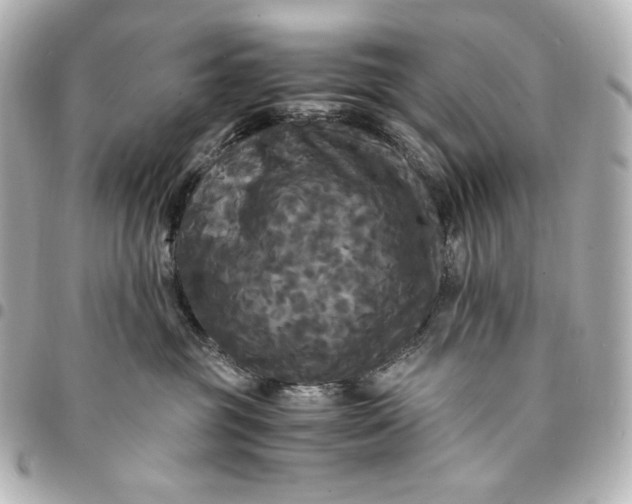 X0000095520381200712281505