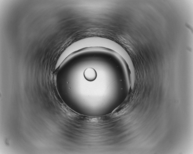 X0000095520382200712281505