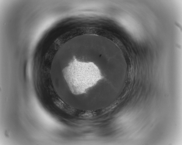 X0000095520383200712281505