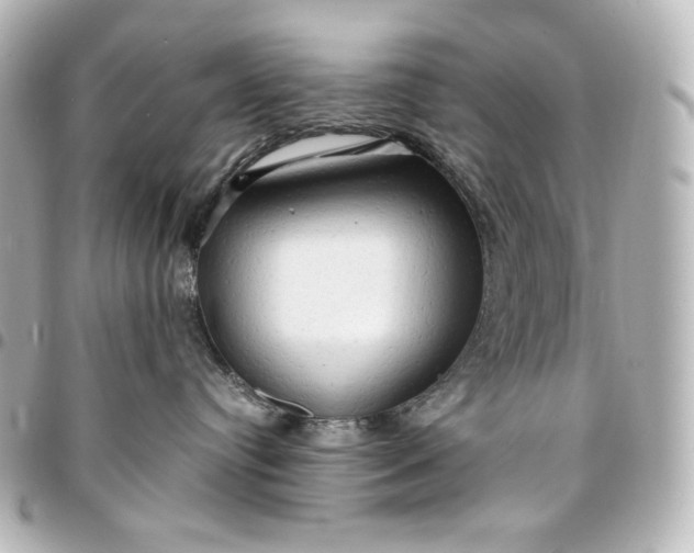 X0000095520384200712281505