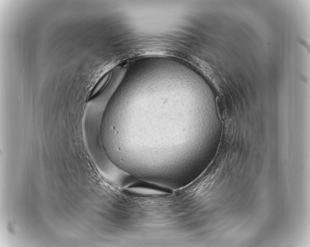 X0000095520385200712281504