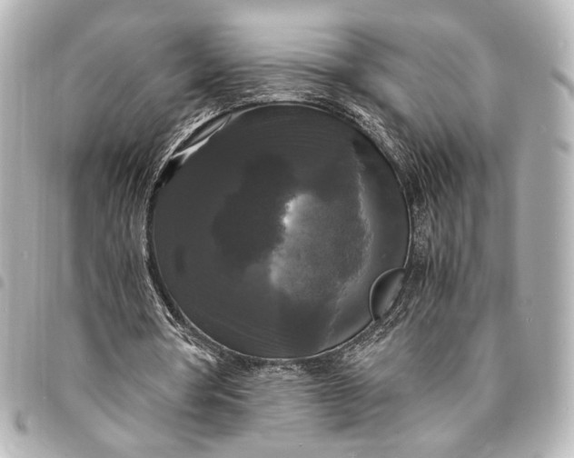 X0000095520386200712281504