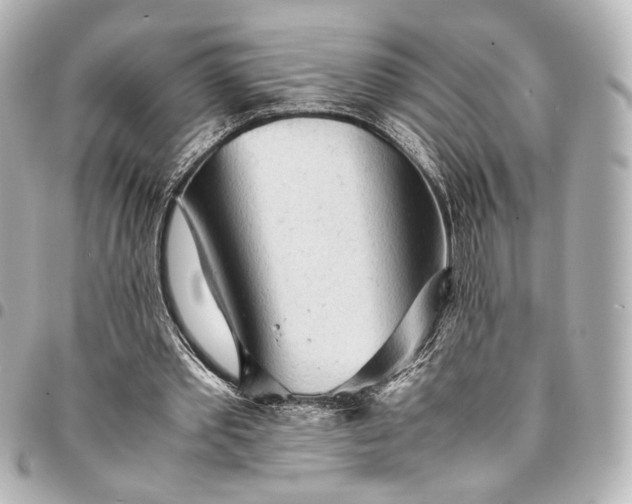 X0000095520389200712281504