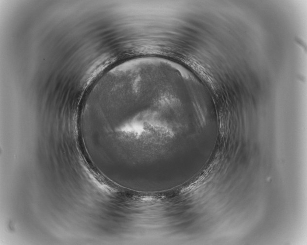 X0000095520390200712281504