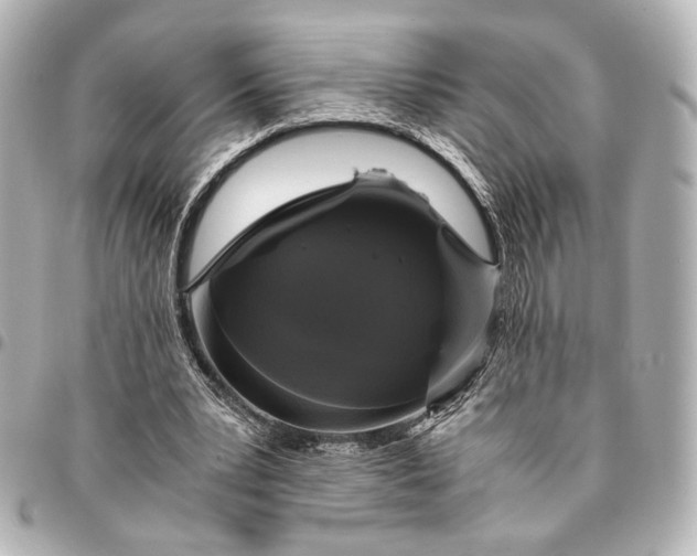 X0000095520391200712281504