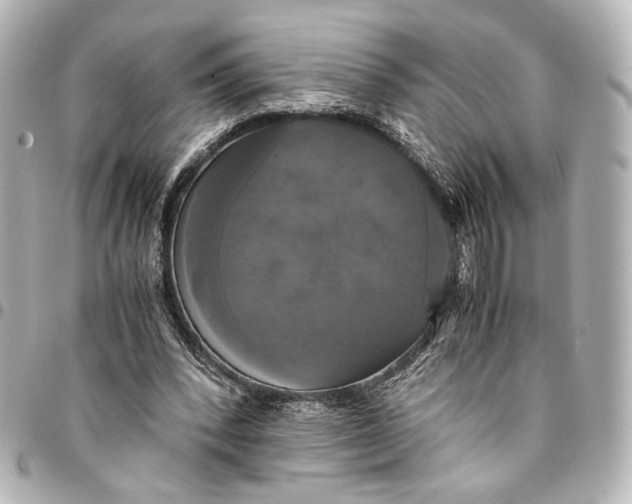 X0000095520392200712281504