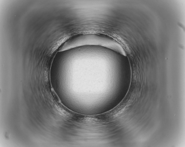 X0000095520393200712281504