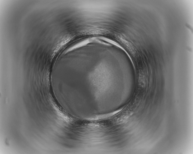 X0000095520394200712281504