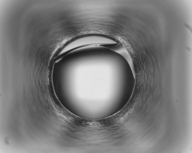 X0000095520395200712281504