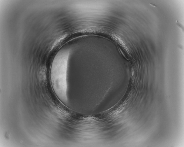 X0000095520396200712281504