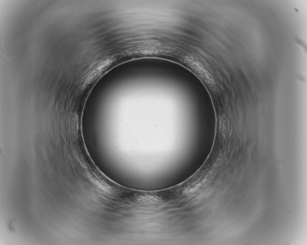 X0000095520397200712281504