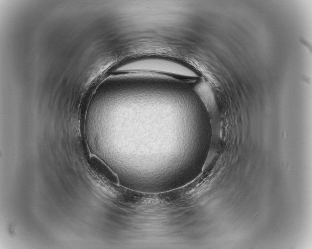 X0000095520399200712281504