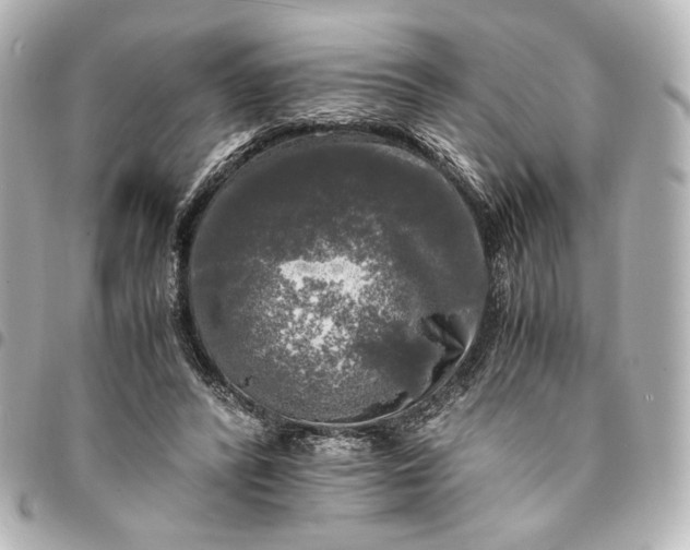 X0000095520400200712281504