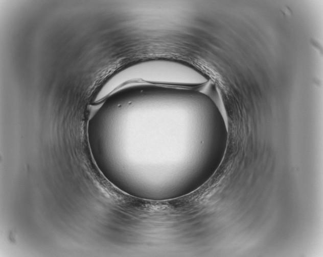 X0000095520401200712281504