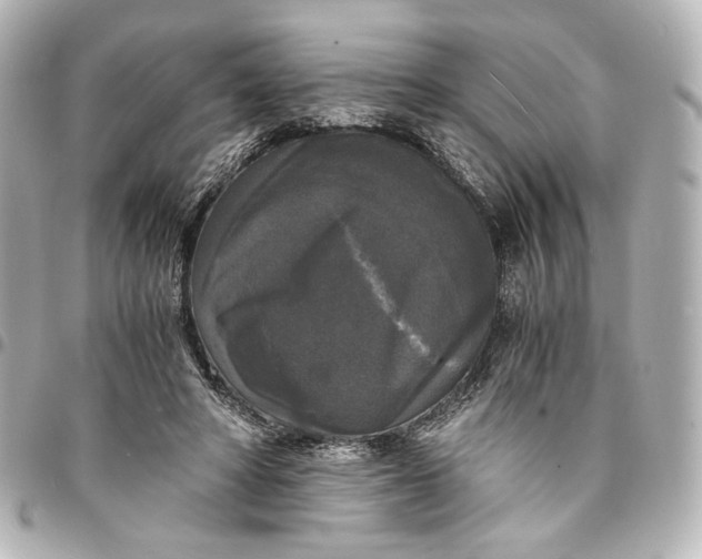 X0000095520402200712281504