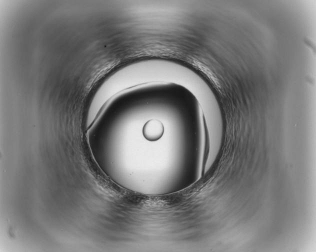 X0000095520403200712281504