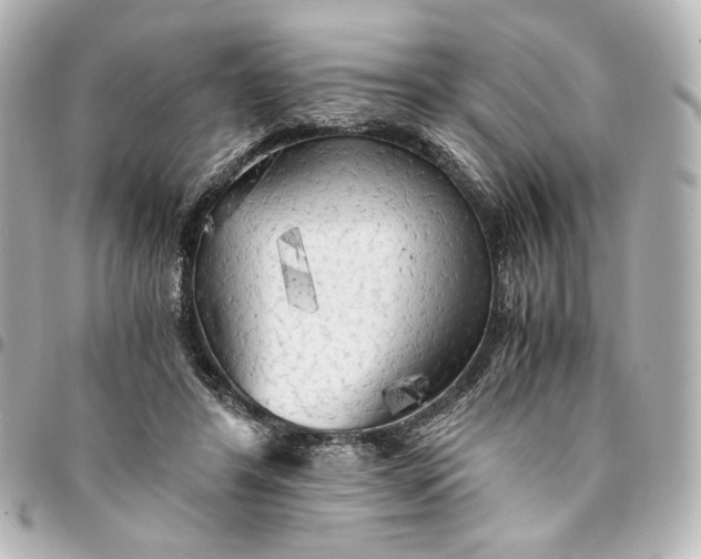 X0000095520404200712281504