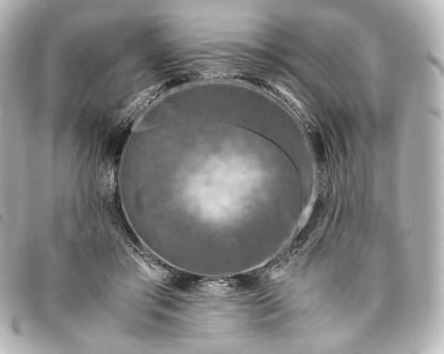 X0000095520405200712281504