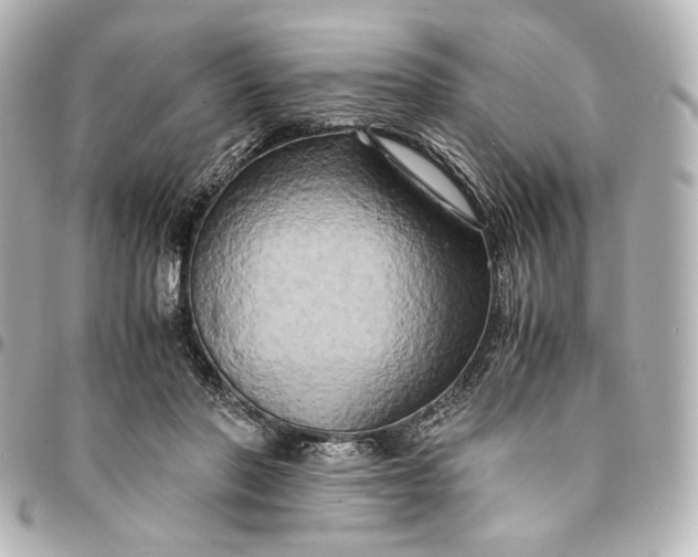 X0000095520406200712281504