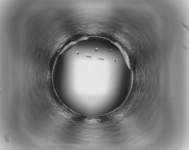 X0000095520407200712281504