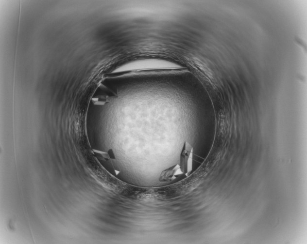 X0000095520408200712281504